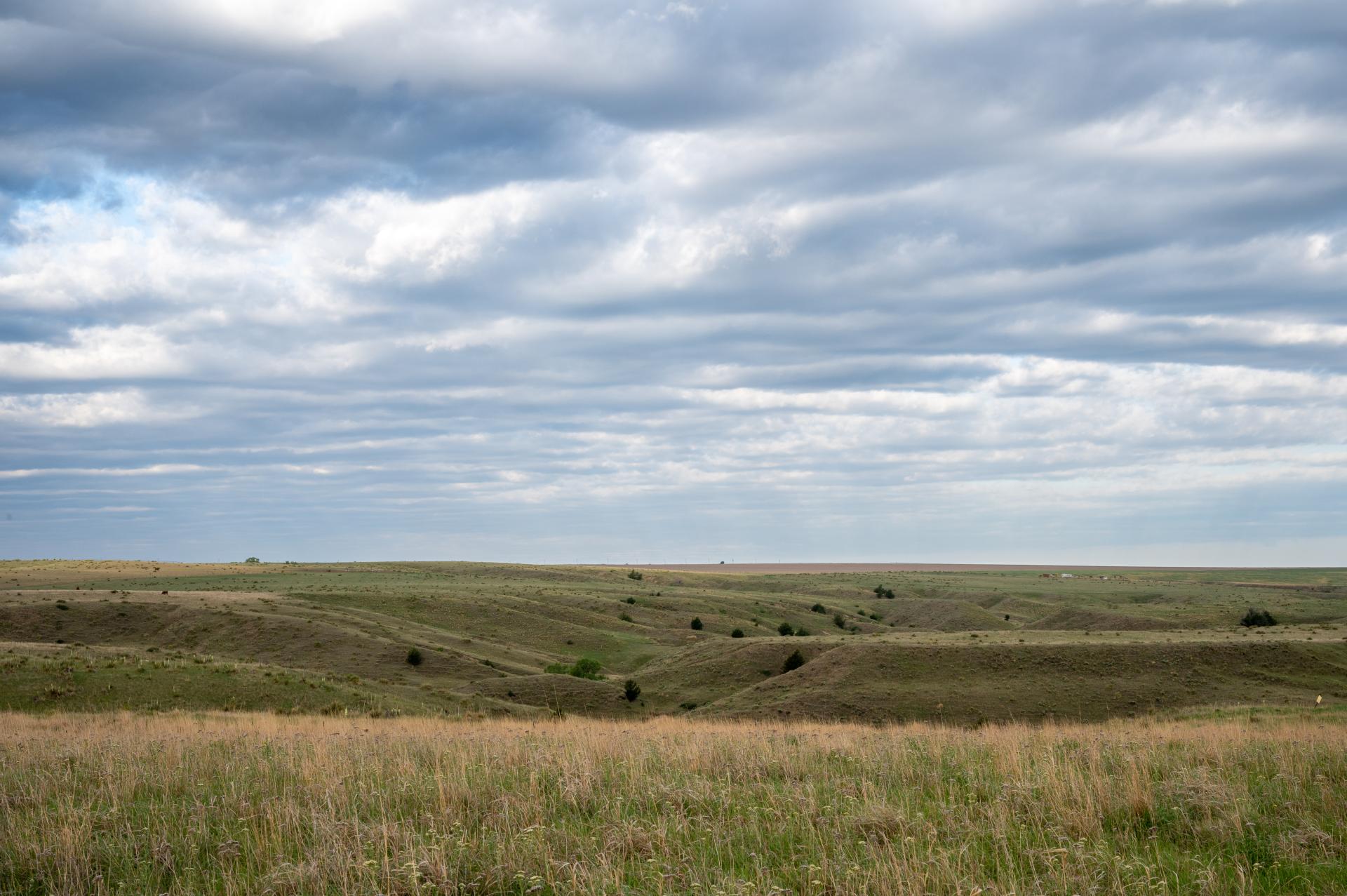 Nebraska Agricultural Landscape