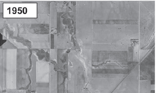Multiple Farms in 1950