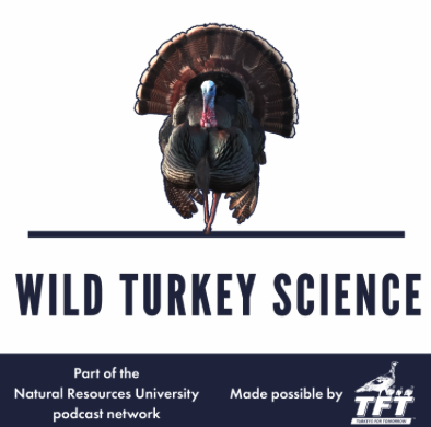 Wild Turkey Science podcast logo