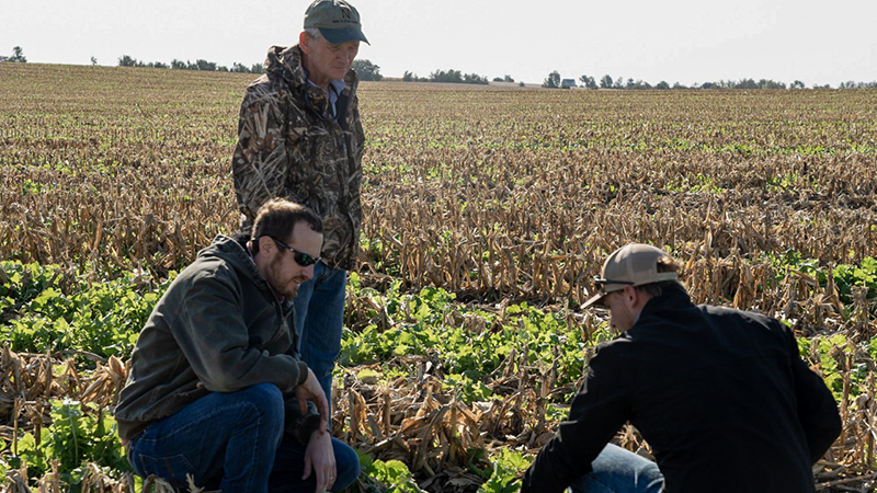 Dr. Andrew Little and Dr. John Carroll speak with a producer near a crop field