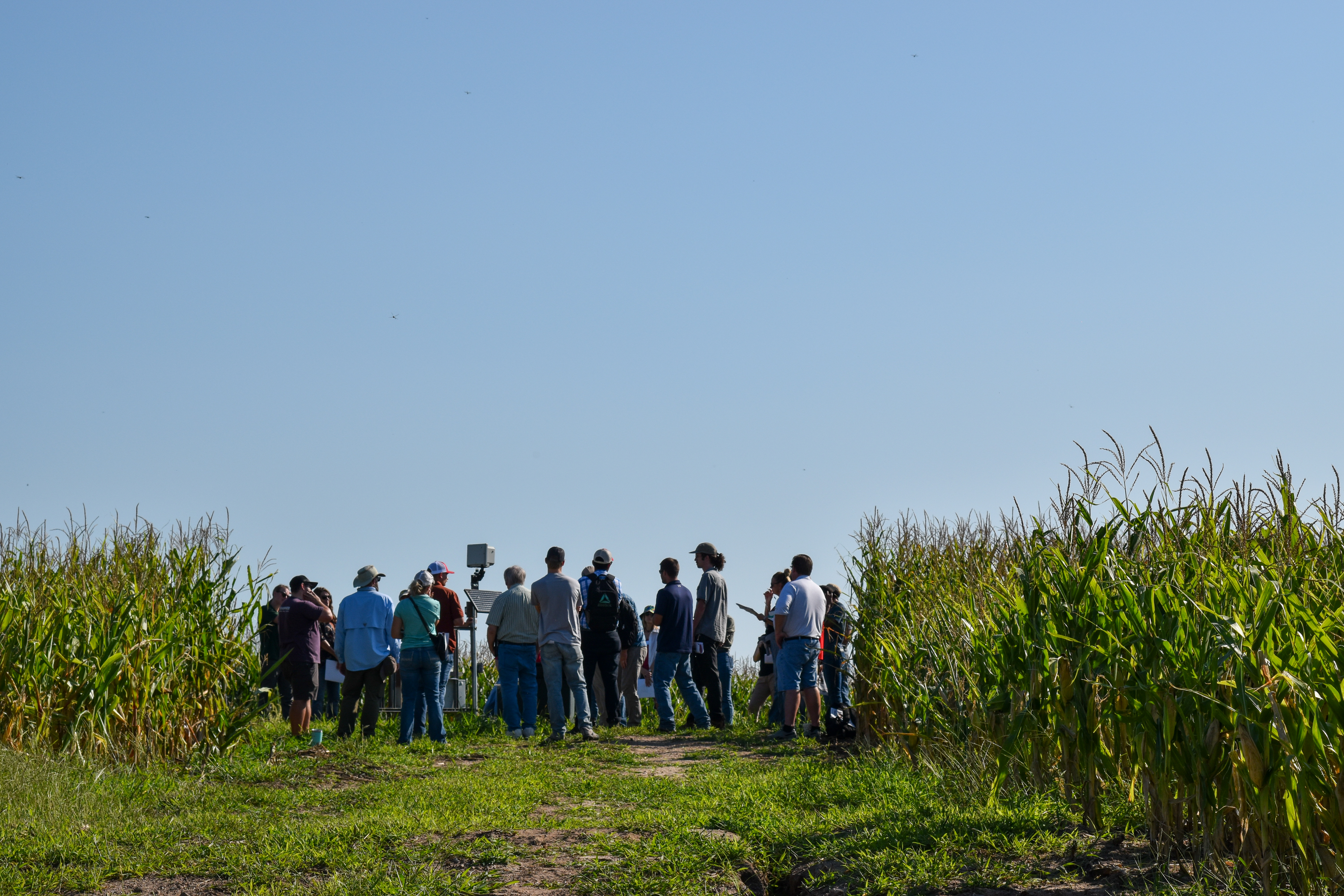 Field day participants gather outside