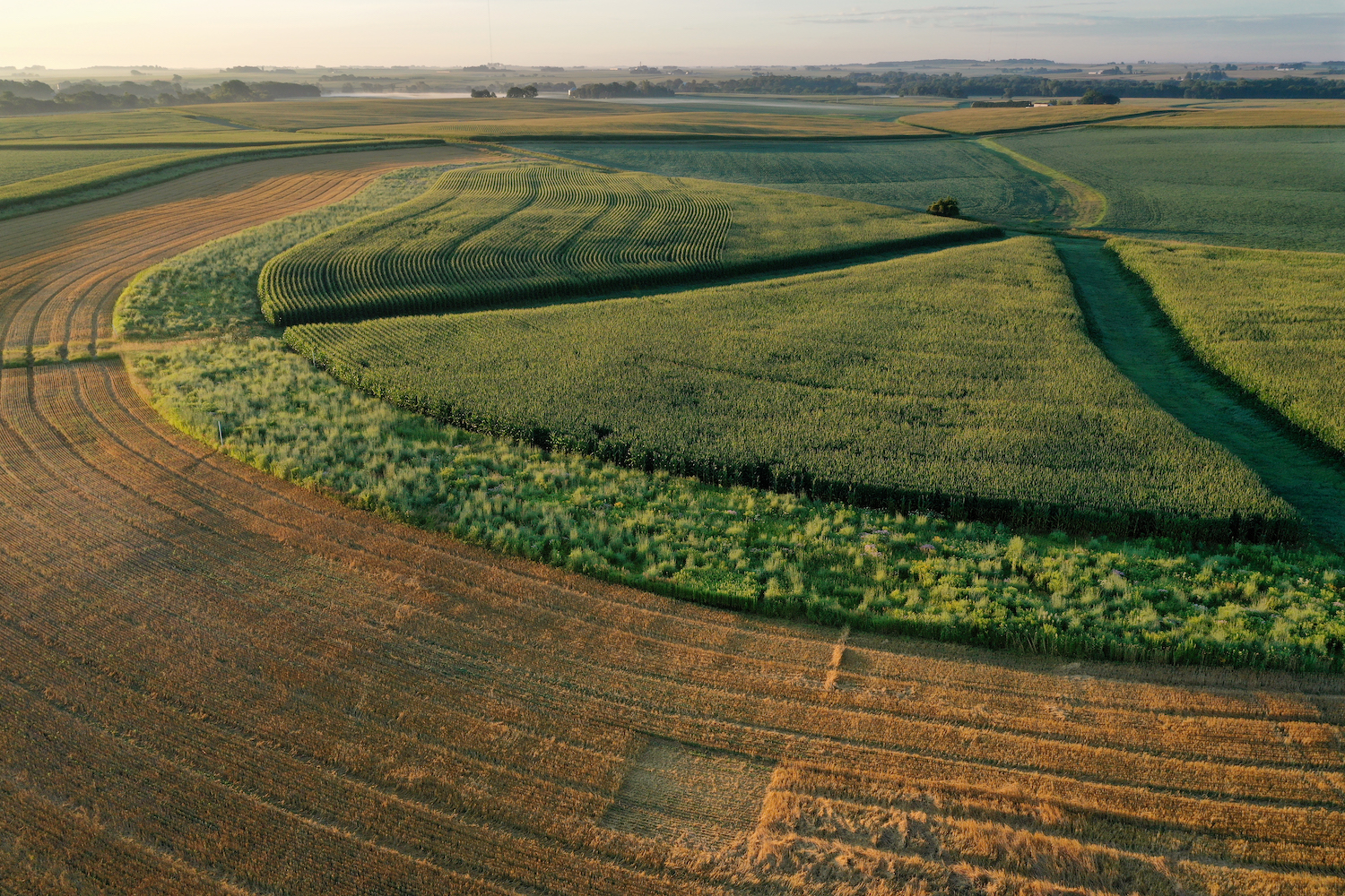 aerial shot of a diversified farm with prairie strips integrated