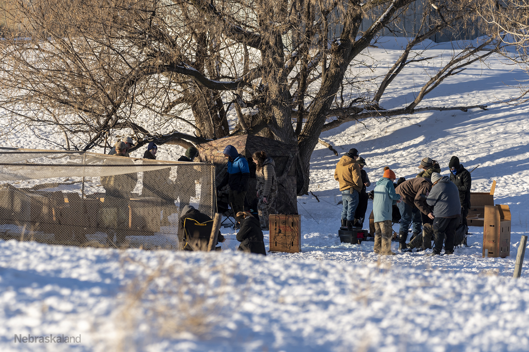 researchers gather in the snow to trap wild turkeys for tagging