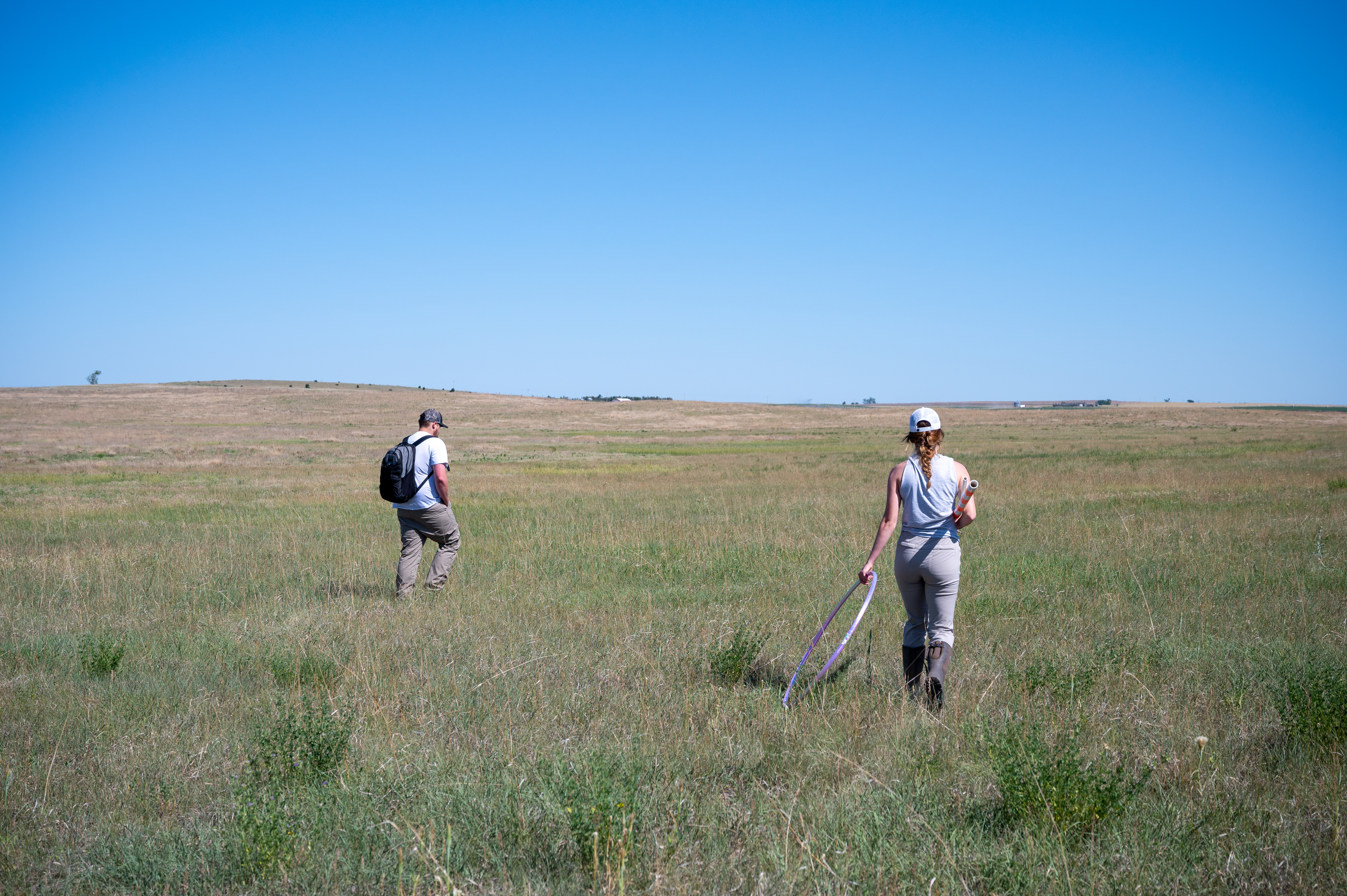 two researchers walk through a field on a sunny day to take vegetation measurements