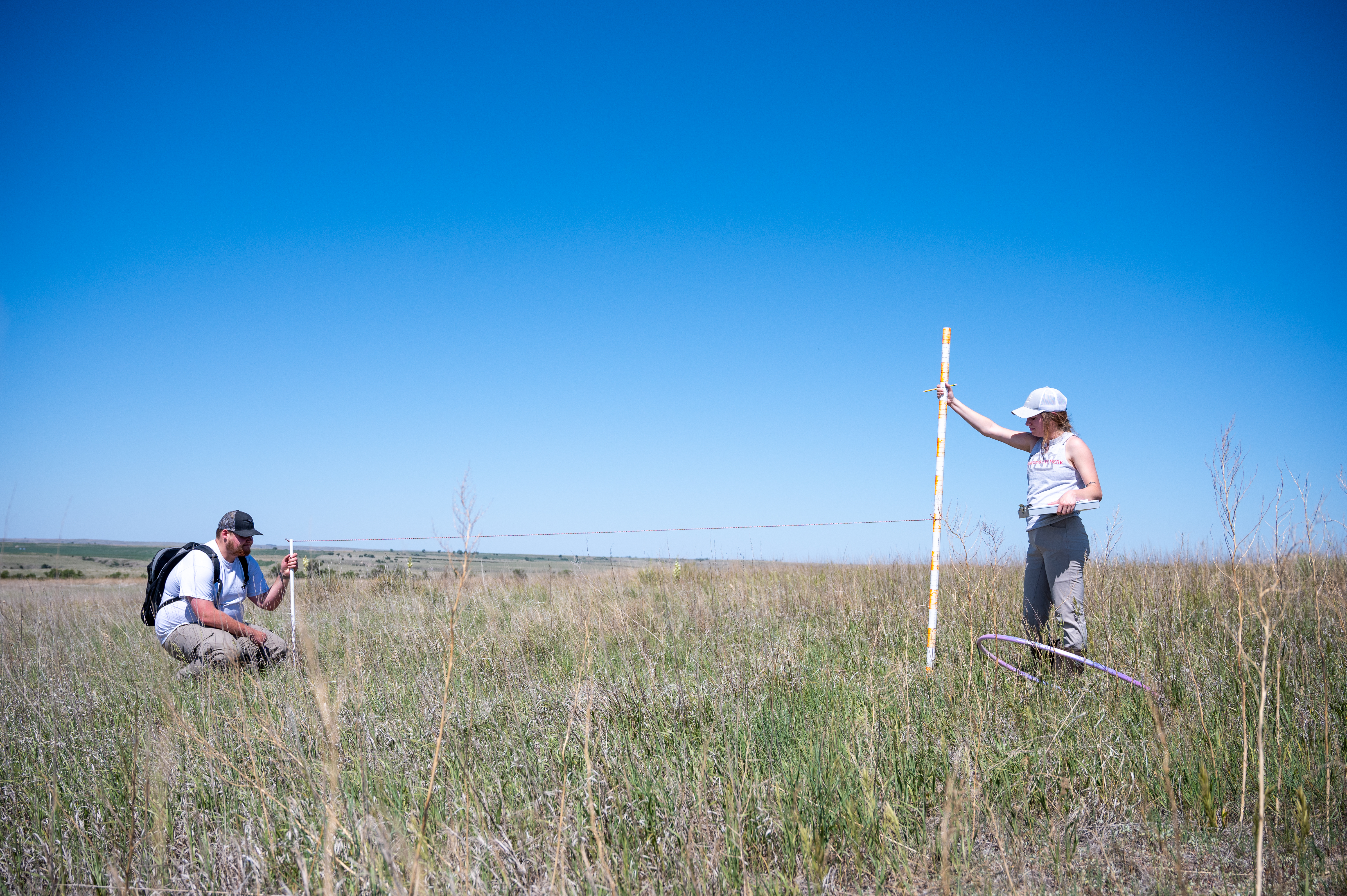 two researchers take vegetation measurements in a field