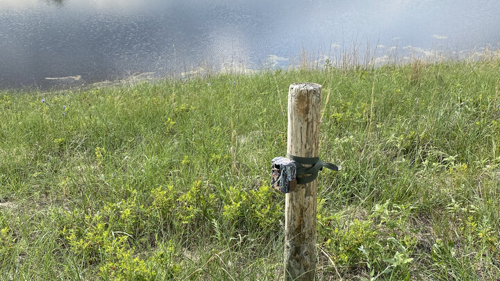 A photo of a game camera attached to a fence post near a pond