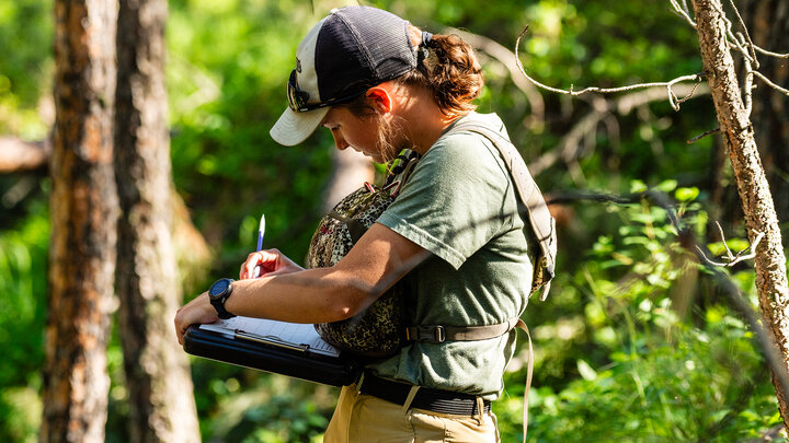 Field technician Catrina Johnson collects and records data while working on wild turkey research