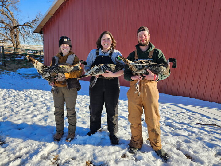 Three graduate students stand in the snow holding three wild turkeys