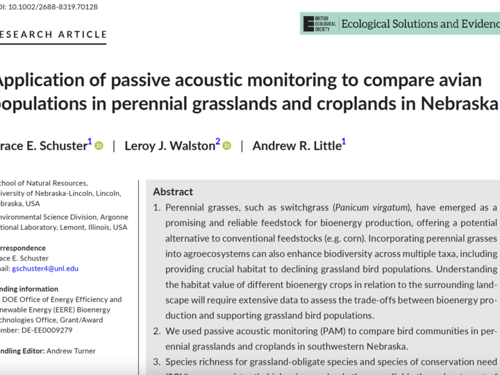 Screenshot of the research paper