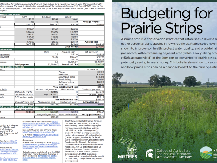 A screenshot the of the prairie strip budgeting document