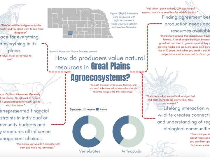 Screen shot of the research poster