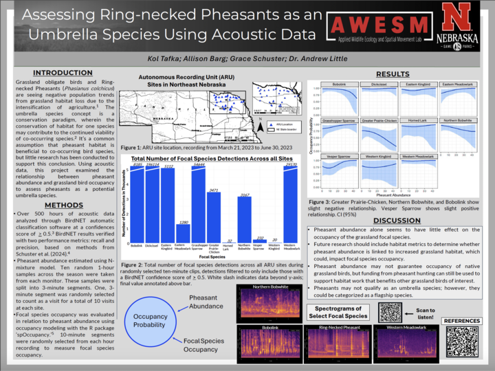 Screenshot of the research poster