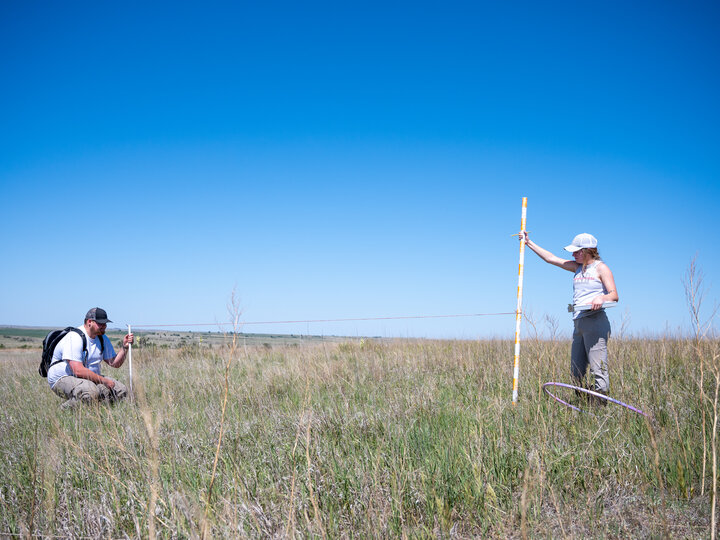 two researchers take vegetation measurements in a field