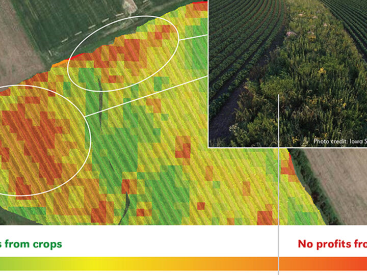 Yield monitor map shows areas of high and low yield throughout a field. In the corner there is a photo of a prairie strip within a crop field.