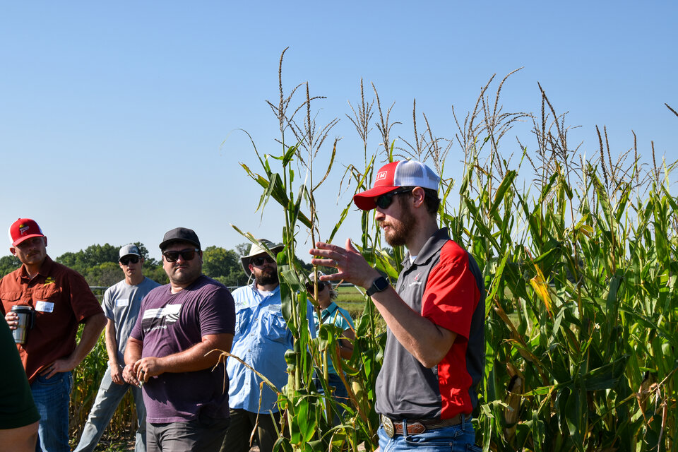 Andrew Little speaks at a field day