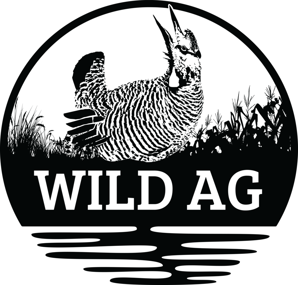 WildAg podcast logo, which features a prairie chicken in front of a corn field and prairie grass with water below. 